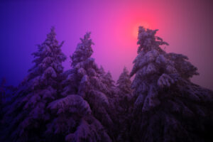 <b>Naturfotografie vor der Tür mit Chris Kaula</b><br />26.01.2026 17