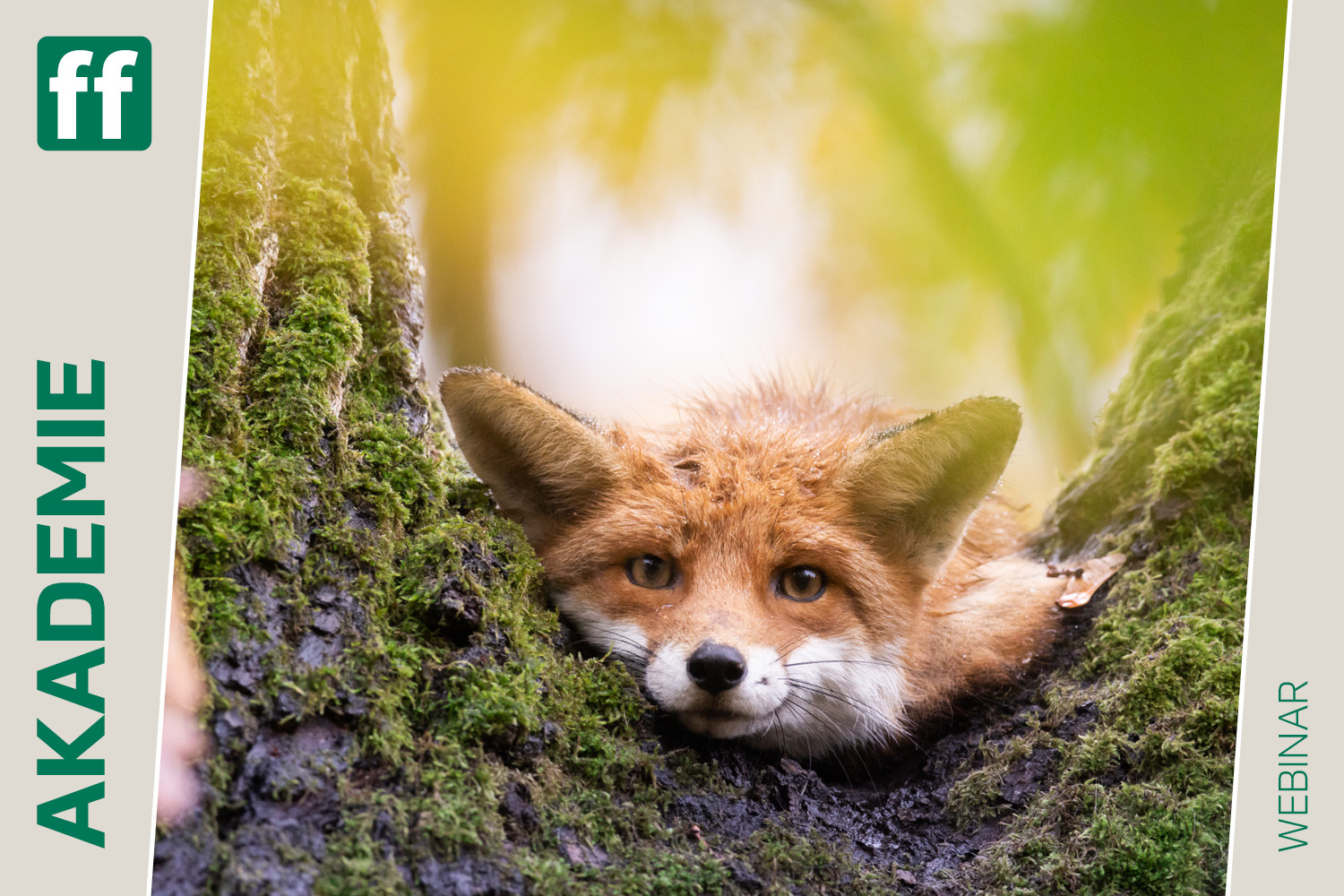 <b>Naturfotografie vor der Tür mit Chris Kaula</b><br />26.01.2026 1 <b>Naturfotografie vor der Tür mit Chris Kaula</b><br />26.01.2026