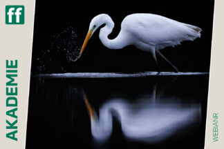 Natur vor der Tür mit Chris Kaula