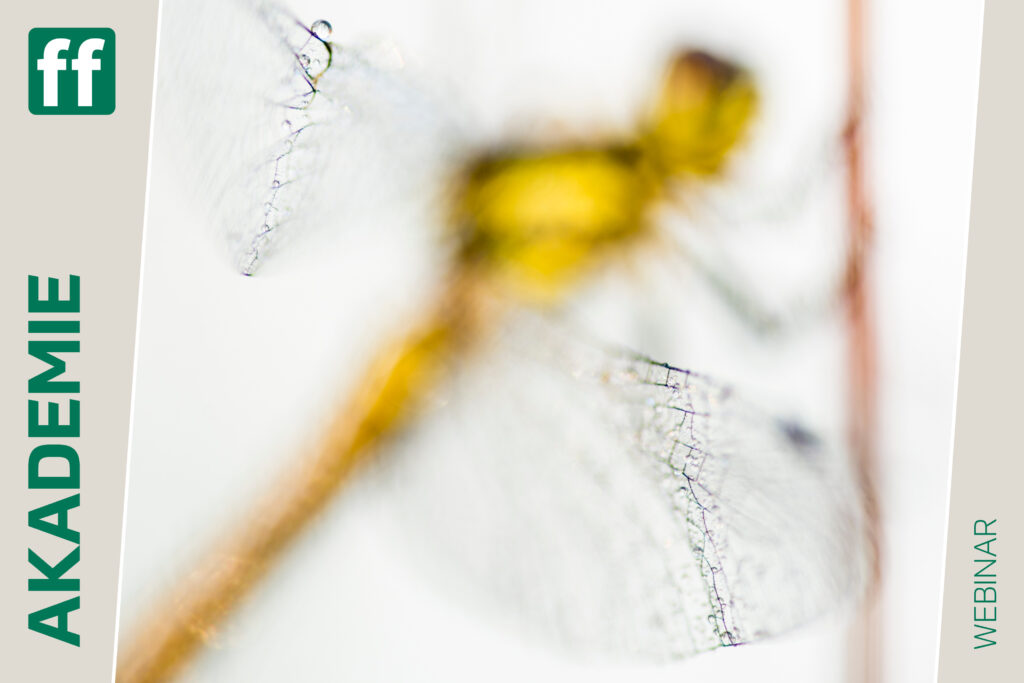 fotoforum Shop Startseite 27 Monat der Naturfotografie: Kreative Makrofotografie mit Karsten Mosebach