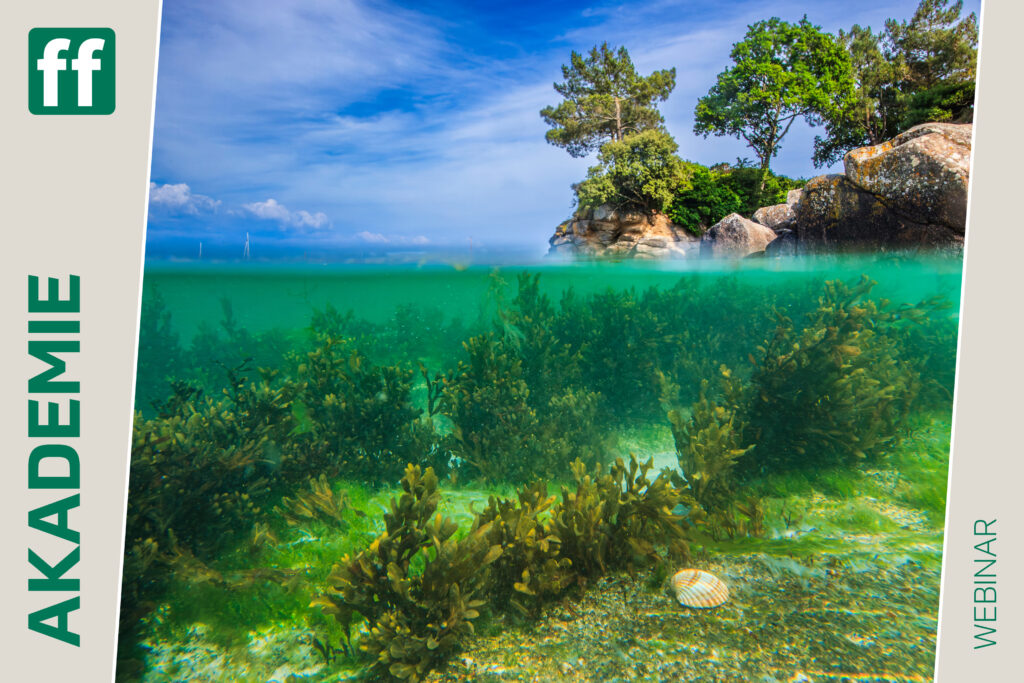 fotoforum Shop Startseite 28 Monat der Naturfotografie: Mikrokosmos Strand mit Gabi Reichert