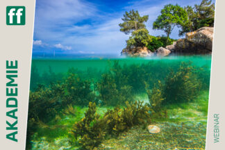 Monat der Naturfotografie: Mikrokosmos Strand mit Gabi Reichert