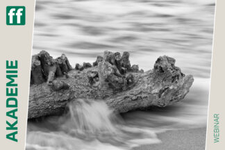 fotoforum Akademie 49 <b>Monat der Naturfotografie: Naturfotografie Schwarzweiß mit Jutta Engelage</b><br />16.11.2026 - 30.11.2026