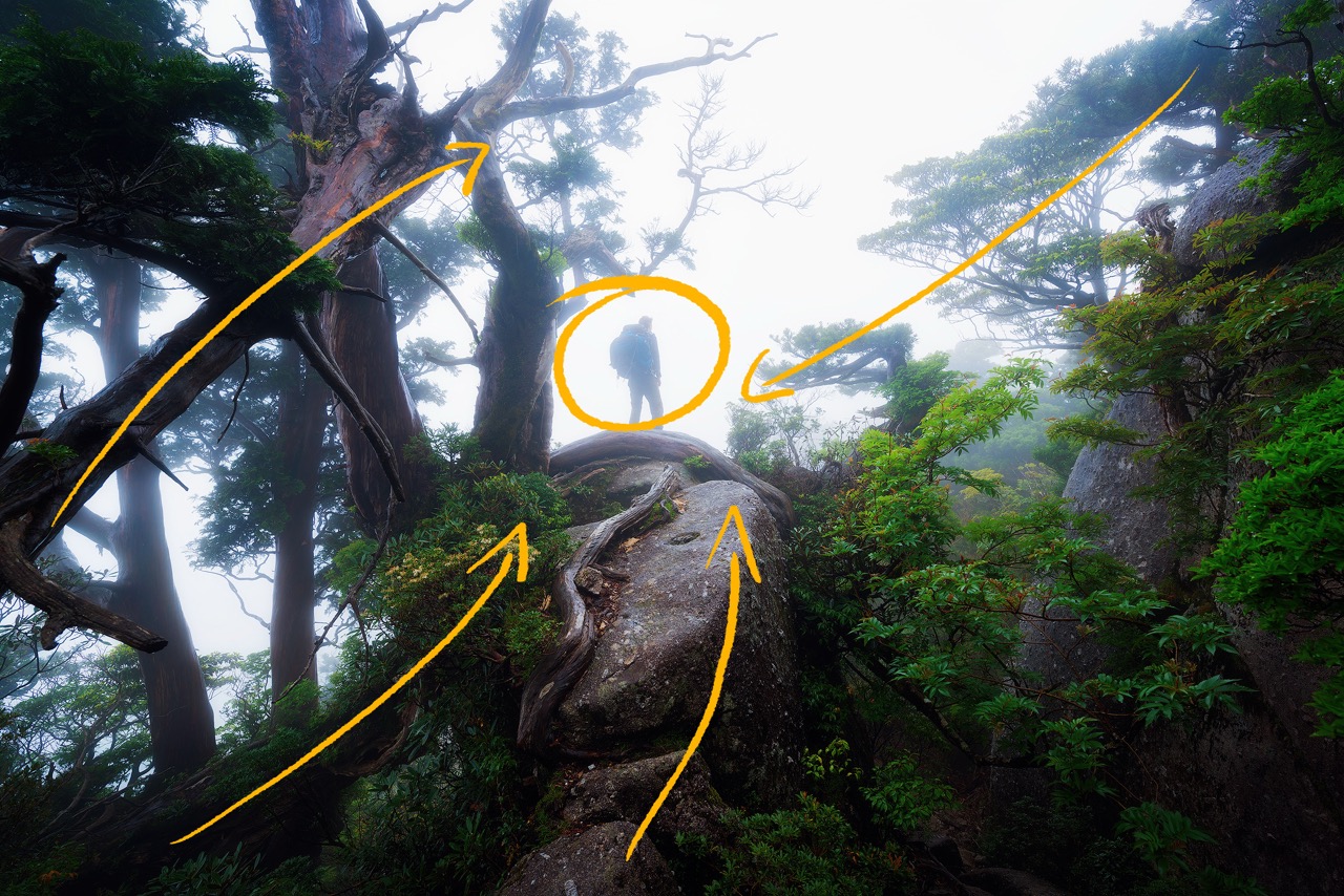 <b>Monat der Naturfotografie: Perfekte Komposition für Landschaftsfotografen mit Alexander Otto</b><br />03.11.2026 - 08.12.2026 5 Monat der Naturfotografie: Perfekte Komposition für Landschaftsfotografen mit Alexander Otto