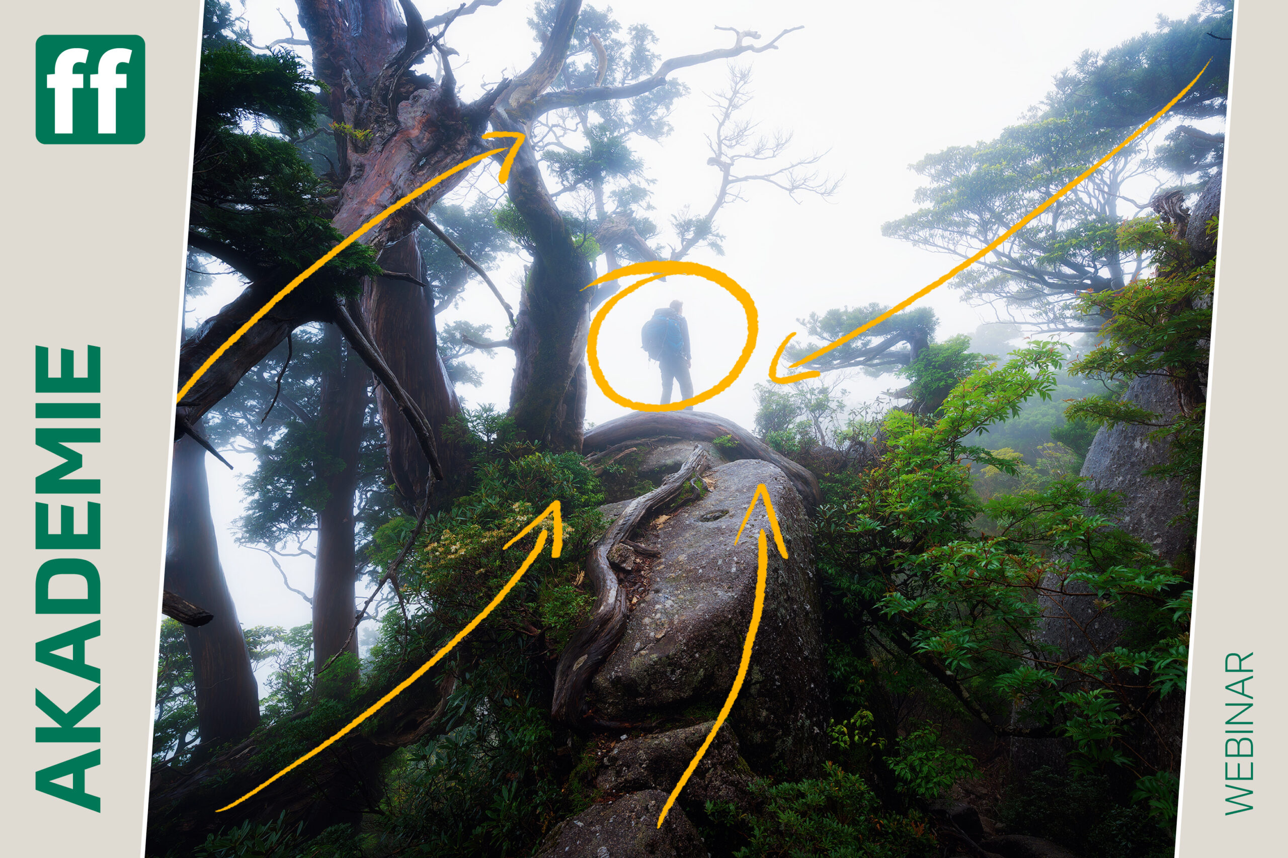 <b>Monat der Naturfotografie: Perfekte Komposition für Landschaftsfotografen mit Alexander Otto</b><br />03.11.2026 - 08.12.2026 1 Monat der Naturfotografie: Perfekte Komposition für Landschaftsfotografen mit Alexander Otto