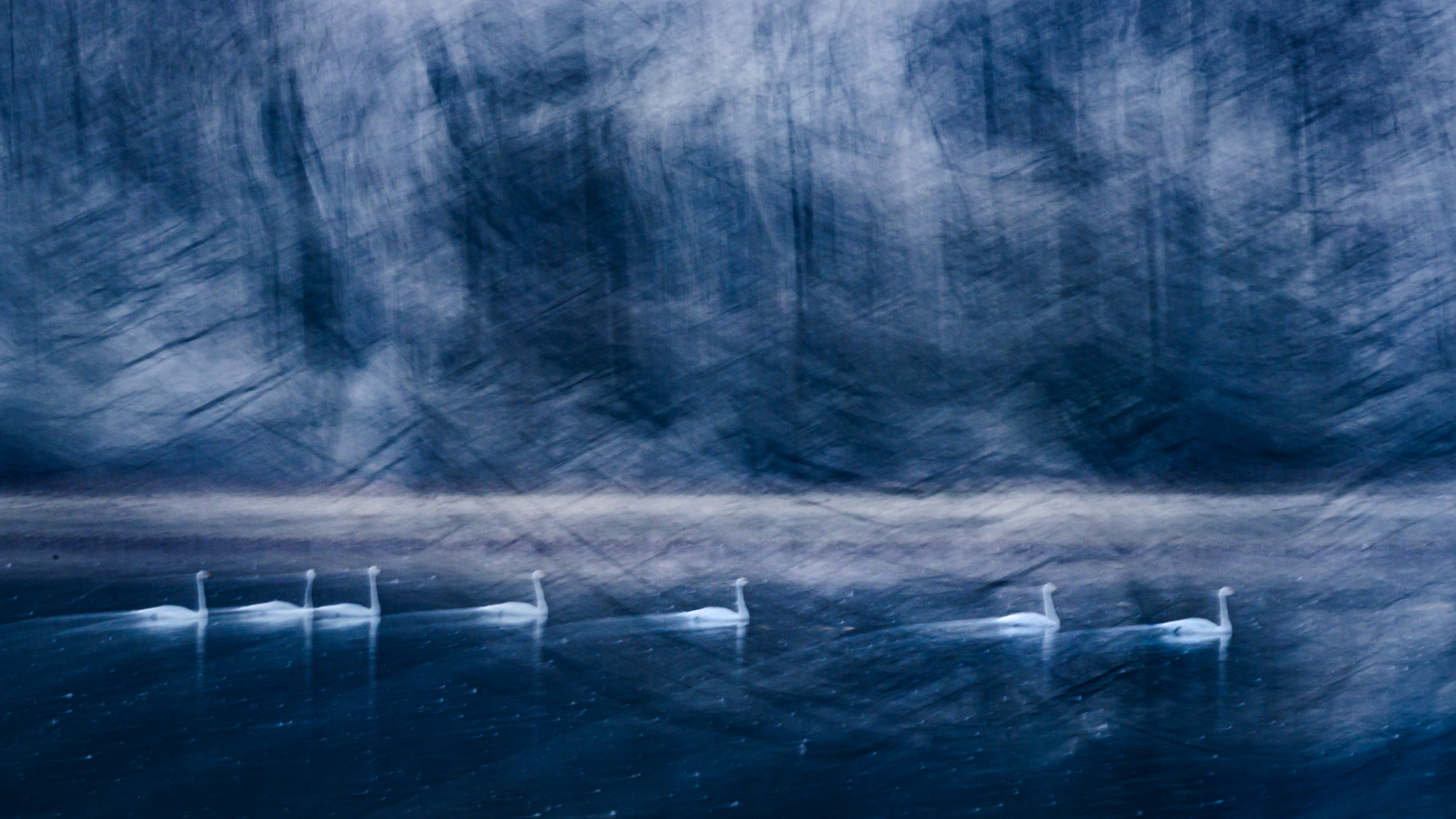 Monat der Naturfotografie: Sandra Westermann: So entstehen Bildideen in der Naturfotografie