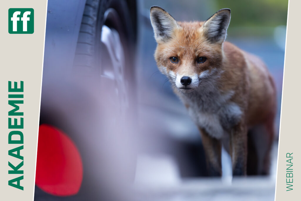 fotoforum Akademie 50 Monat der Naturfotografie: Urbane Naturfotografie mit Chris Kaula