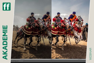 Thorge Berger: Lightroom effektiv nutzen