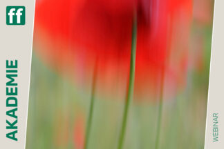 fotoforum Shop Startseite 22 Malerische Fotografie mit Jutta Engelage