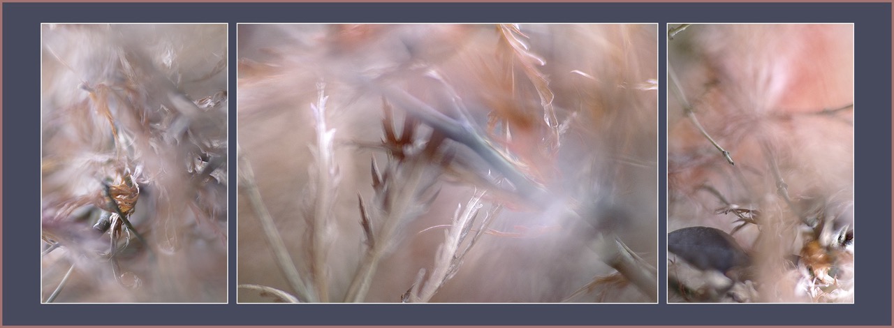 <b>Triptychons fotografieren mit Martin Timm</b><br />02.12.2026 - 16.12.2026 5 Triptychons fotografieren mit Martin Timm