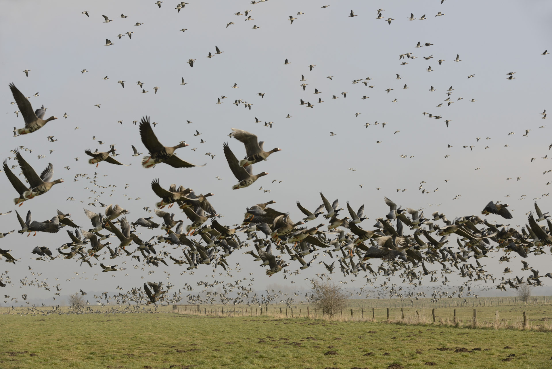 <b>Monat der Naturfotografie: Fotowalk Bislicher Insel</b><br />28.11.2026 2 Monat der Naturfotografie: Fotowalk Bislicher Insel