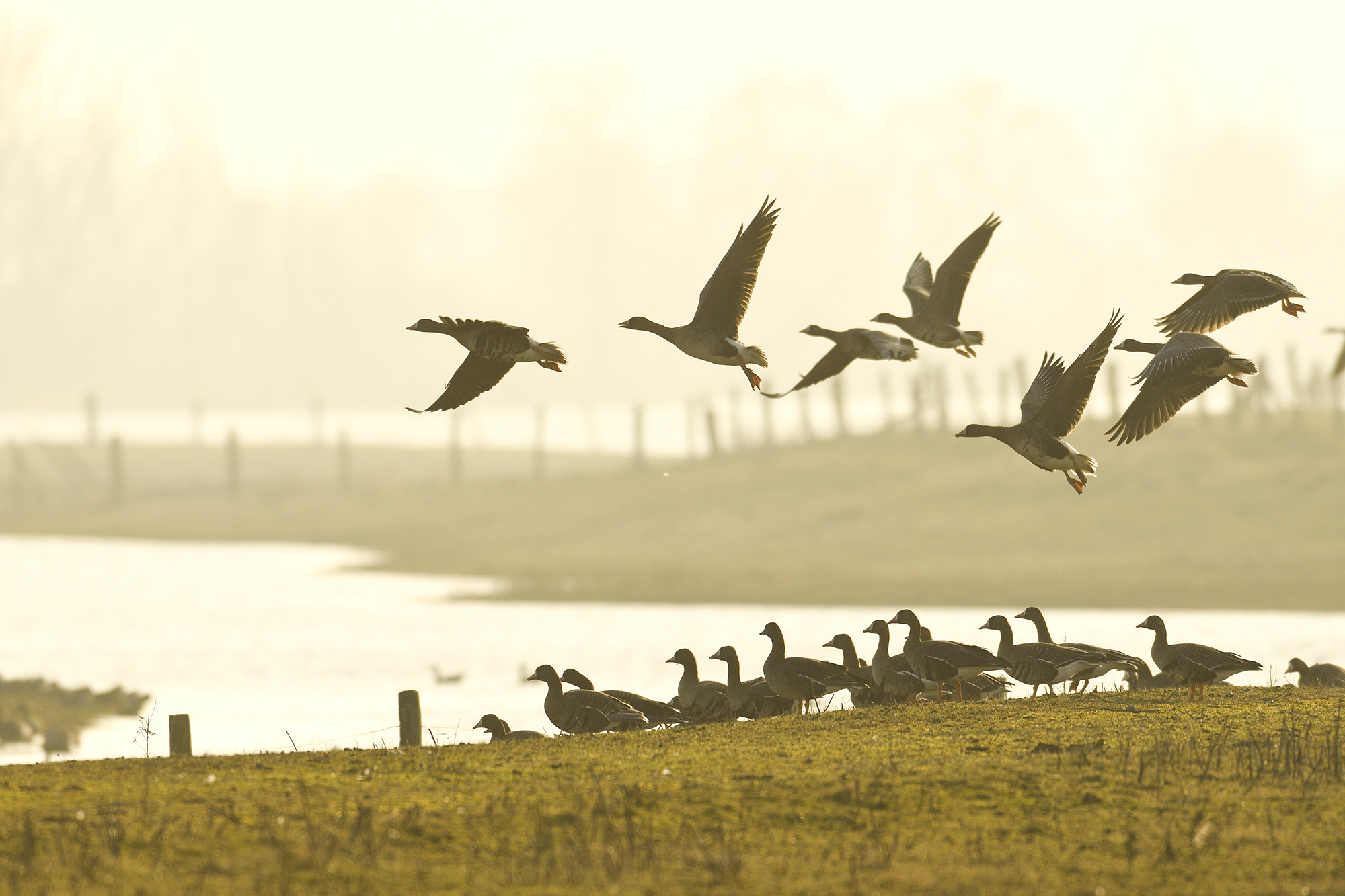 <b>Monat der Naturfotografie: Fotowalk Bislicher Insel</b><br />28.11.2026 3 Monat der Naturfotografie: Fotowalk Bislicher Insel