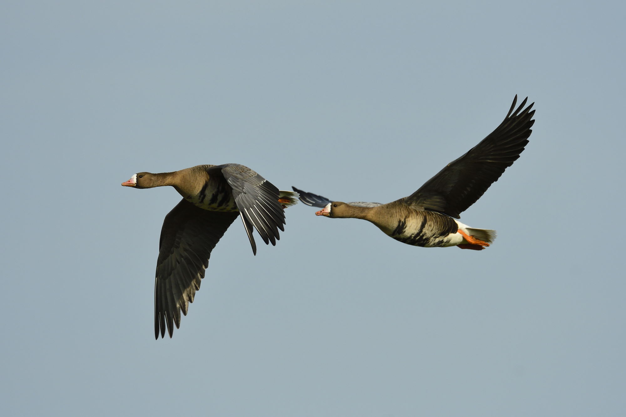 <b>Monat der Naturfotografie: Fotowalk Bislicher Insel</b><br />28.11.2026 4 Monat der Naturfotografie: Fotowalk Bislicher Insel