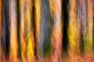 <b>Herbst vor der Haustür</b><br />06.11.2026 - 08.11.2026 7