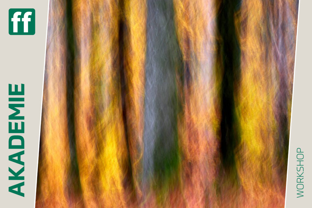 fotoforum Shop Startseite 20 <b>Herbst vor der Haustür</b><br />06.11.2026 - 08.11.2026
