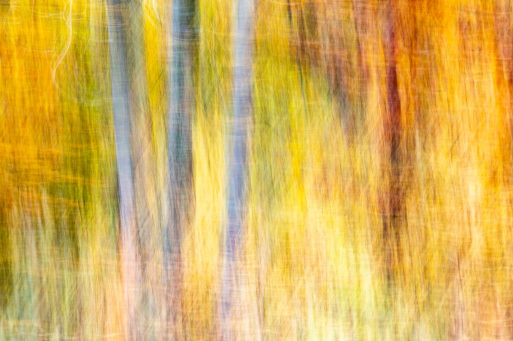 <b>Herbst vor der Haustür</b><br />06.11.2026 - 08.11.2026 3 Herbst vor der Haustür