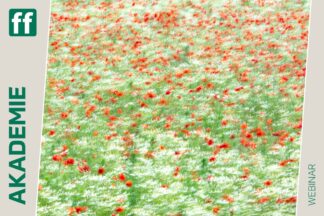 fotoforum Akademie 33 ICM – Kreative Fotografie durch Bewegung