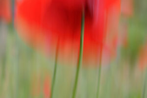 <b>Malerische Fotografie mit Jutta Engelage</b><br />20.07.2026 - 27.07.2026 7 Malerische Fotografie mit Jutta Engelage