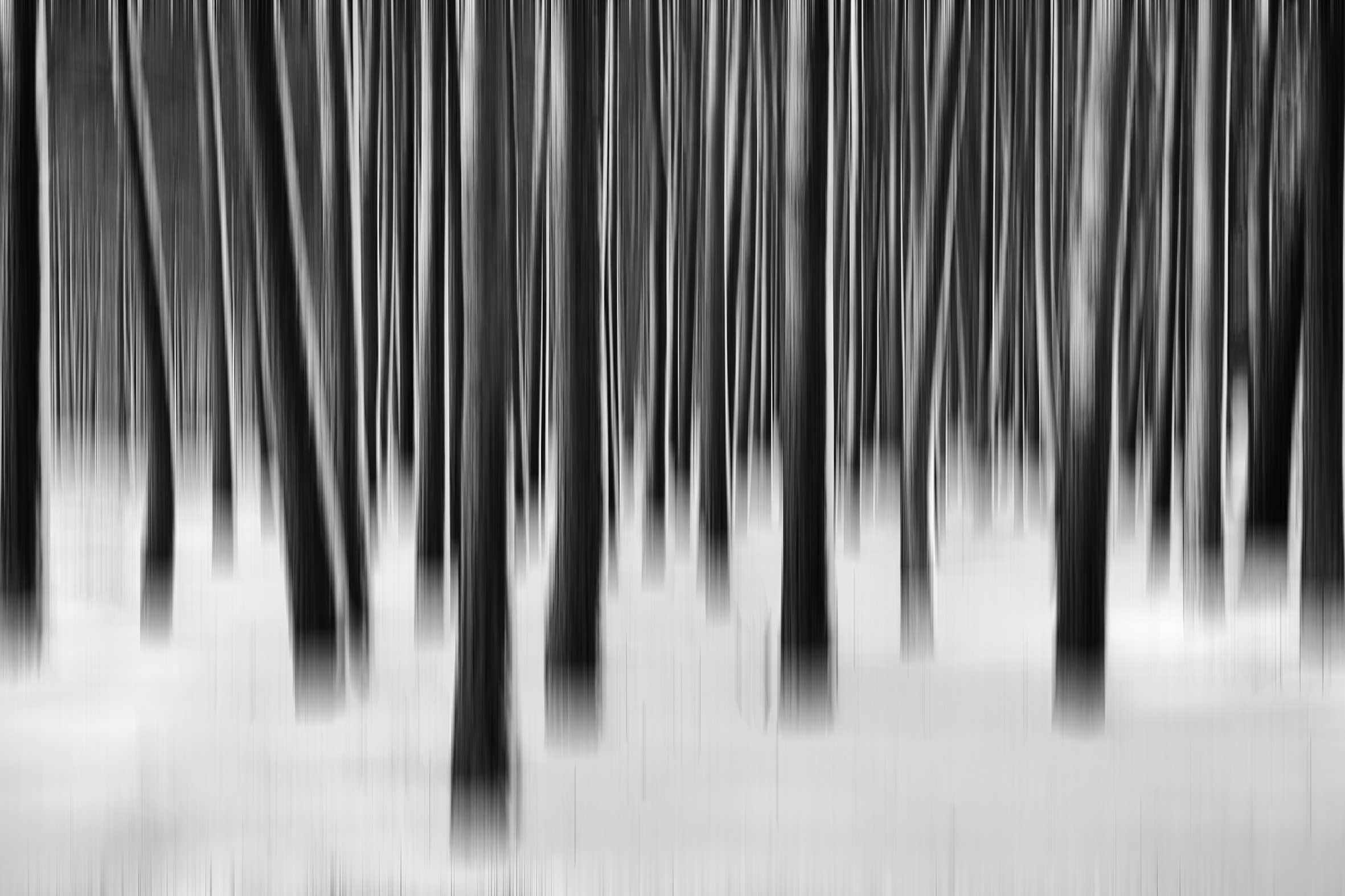 <b>Malerische Fotografie mit Jutta Engelage</b><br />20.07.2026 - 27.07.2026 4 Malerische Fotografie mit Jutta Engelage