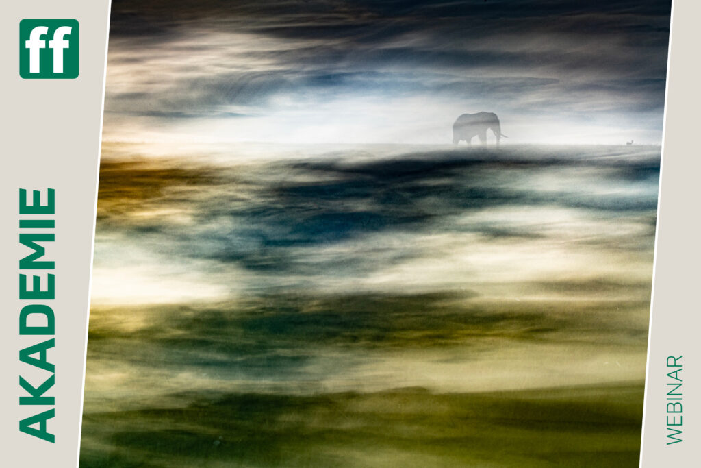 fotoforum Shop Startseite 17 <b>Erik Malm: ICM – How to make music with images</b><br />15.02.2027