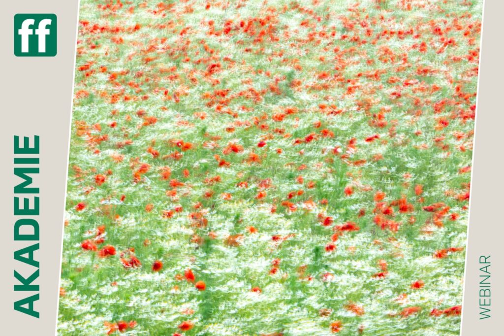 fotoforum Shop Startseite 22 ICM – Kreative Fotografie durch Bewegung