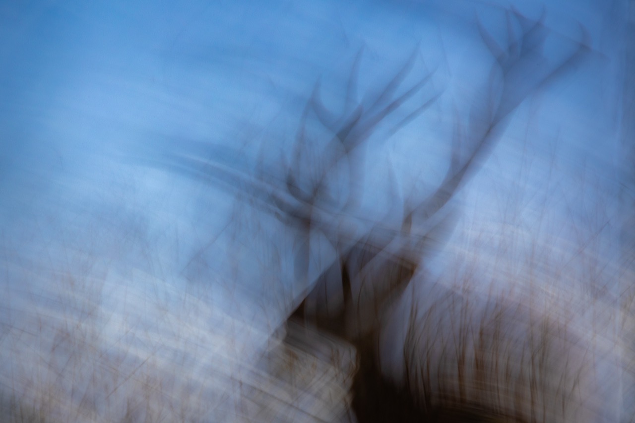 <b>ICM – Kreative Fotografie durch Bewegung</b><br />03.09.2026 - 08.10.2026 4 ICM – Kreative Fotografie durch Bewegung