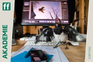<b>fotoforum Impulse: Ines John & Gordon Welters: Auf Augenhöhe mit dem lieben Vieh</b><br />04.10.2026