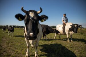 <b>fotoforum Impulse: Ines John & Gordon Welters: Auf Augenhöhe mit dem lieben Vieh</b><br />04.10.2026 13