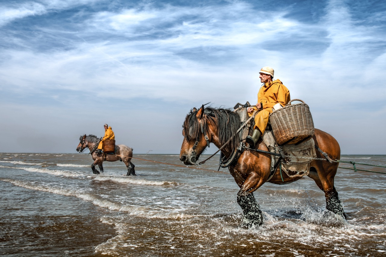 <b>fotoforum Impulse – Rolf Nobel: Arbeiter des Meeres </b><br />03.10.2026 2 <b>fotoforum Impulse – Rolf Nobel: Arbeiter des Meeres </b><br />03.10.2026 – Bild 2