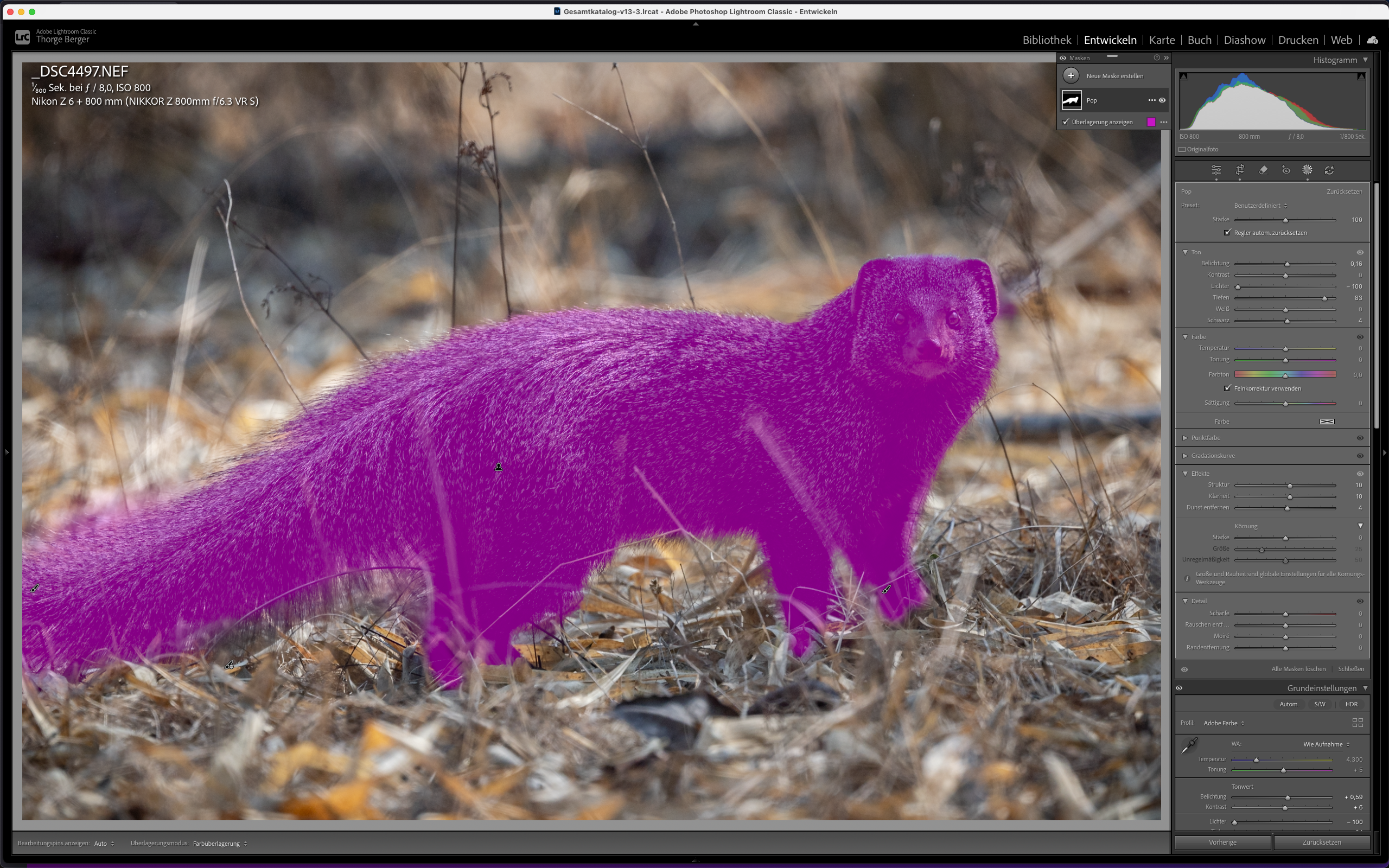 <b>Thorge Berger: Lightroom effektiv nutzen</b><br />29.04.2027 - 20.05.2027 11 Thorge Berger: Lightroom effektiv nutzen