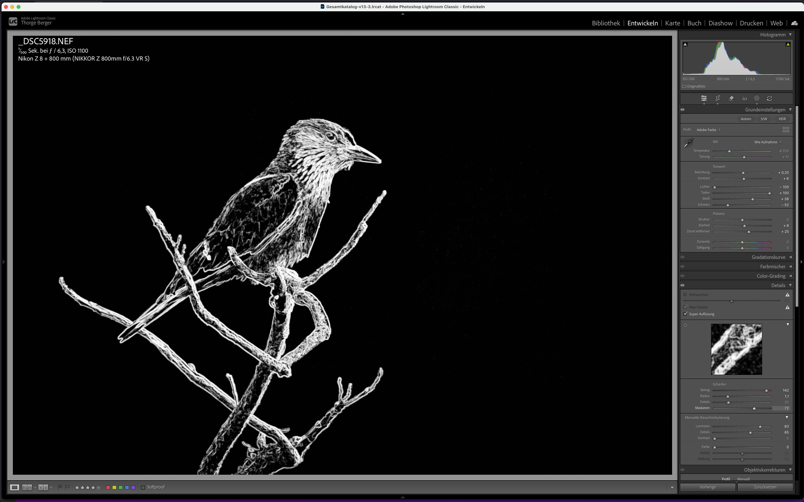 <b>Thorge Berger: Lightroom effektiv nutzen</b><br />29.04.2027 - 20.05.2027 10 Thorge Berger: Lightroom effektiv nutzen