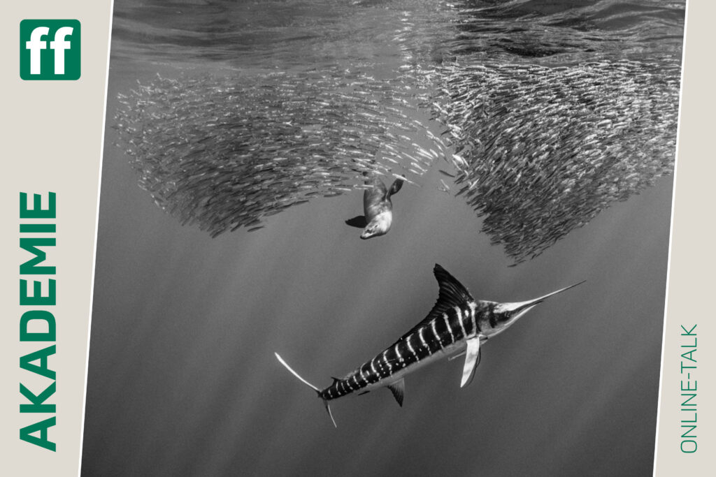 Harald Slauschek: Unterwasserfotografie - zwischen Schnorcheln, Tauchen, Technik und Bildidee