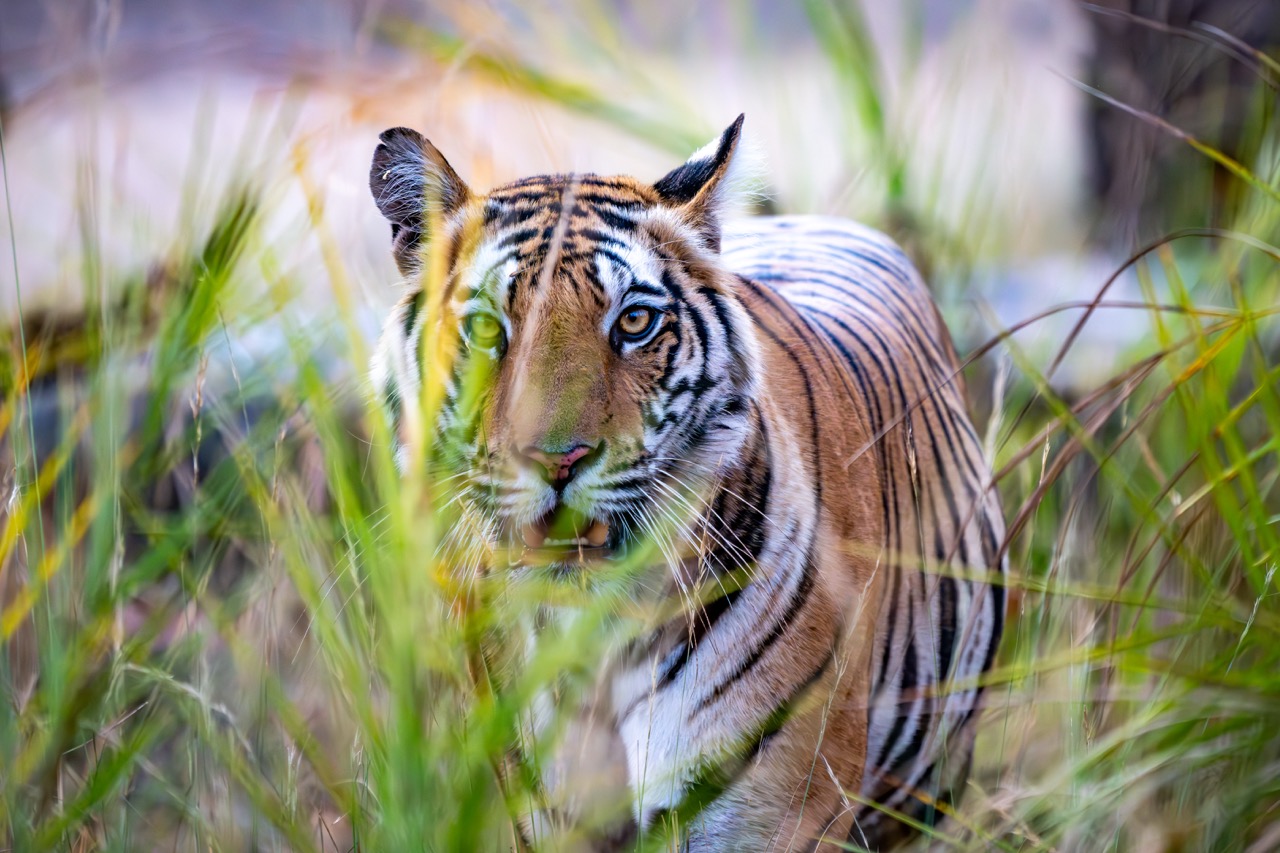 <b>Masterclass Reisefotografie mit Thorge Berger</b><br />28.04.2027 - 26.05.2027 12 Masterclass Reisefotografie mit Thorge Berger
