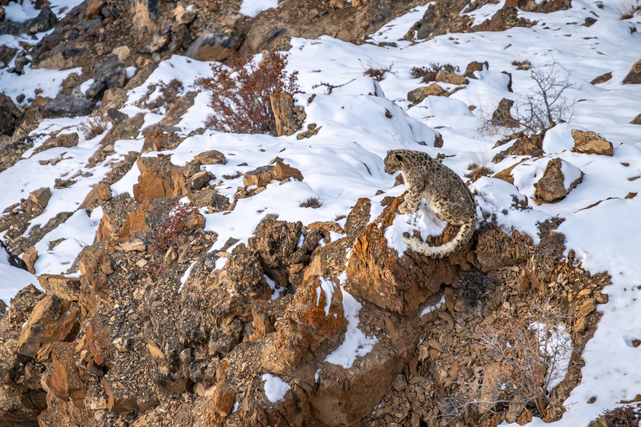 <b>Masterclass Reisefotografie mit Thorge Berger</b><br />28.04.2027 - 26.05.2027 13 Masterclass Reisefotografie mit Thorge Berger