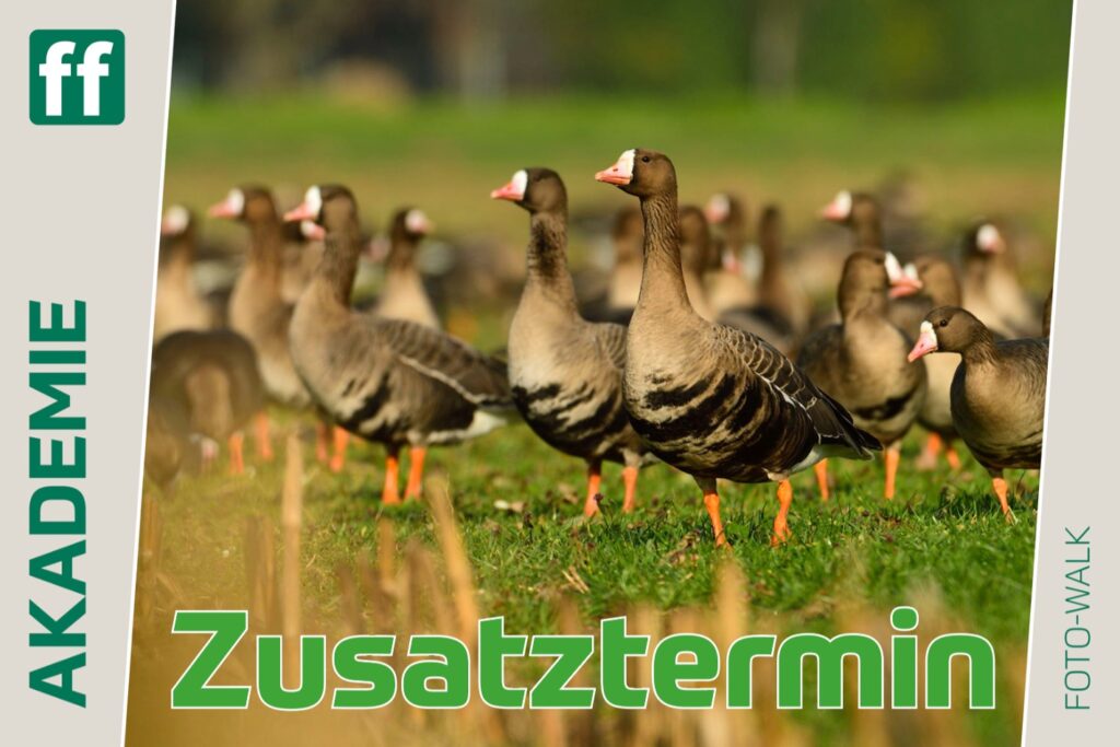 <b>Monat der Naturfotografie: Fotowalk Bislicher Insel</b><br />29.11.2026