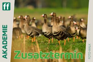 <b>Monat der Naturfotografie: Fotowalk Bislicher Insel</b><br />29.11.2026