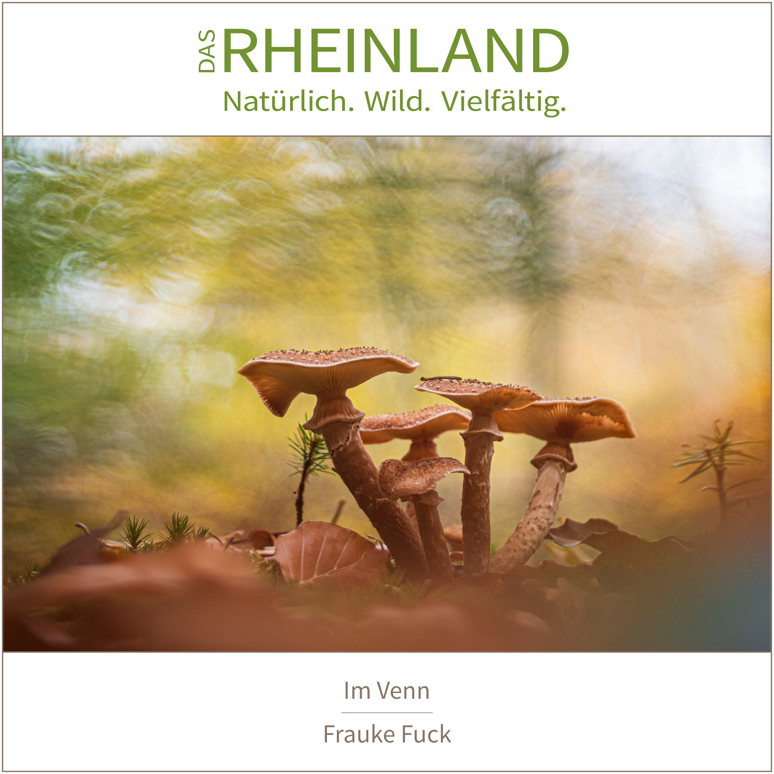 <b>Das Rheinland. <br />Natürlich. Wild. Vielfältig.</b><br />25 Naturfotograf:innen zeigen die Schätze ihrer Heimat 27 Im Venn | Frauke Fuck