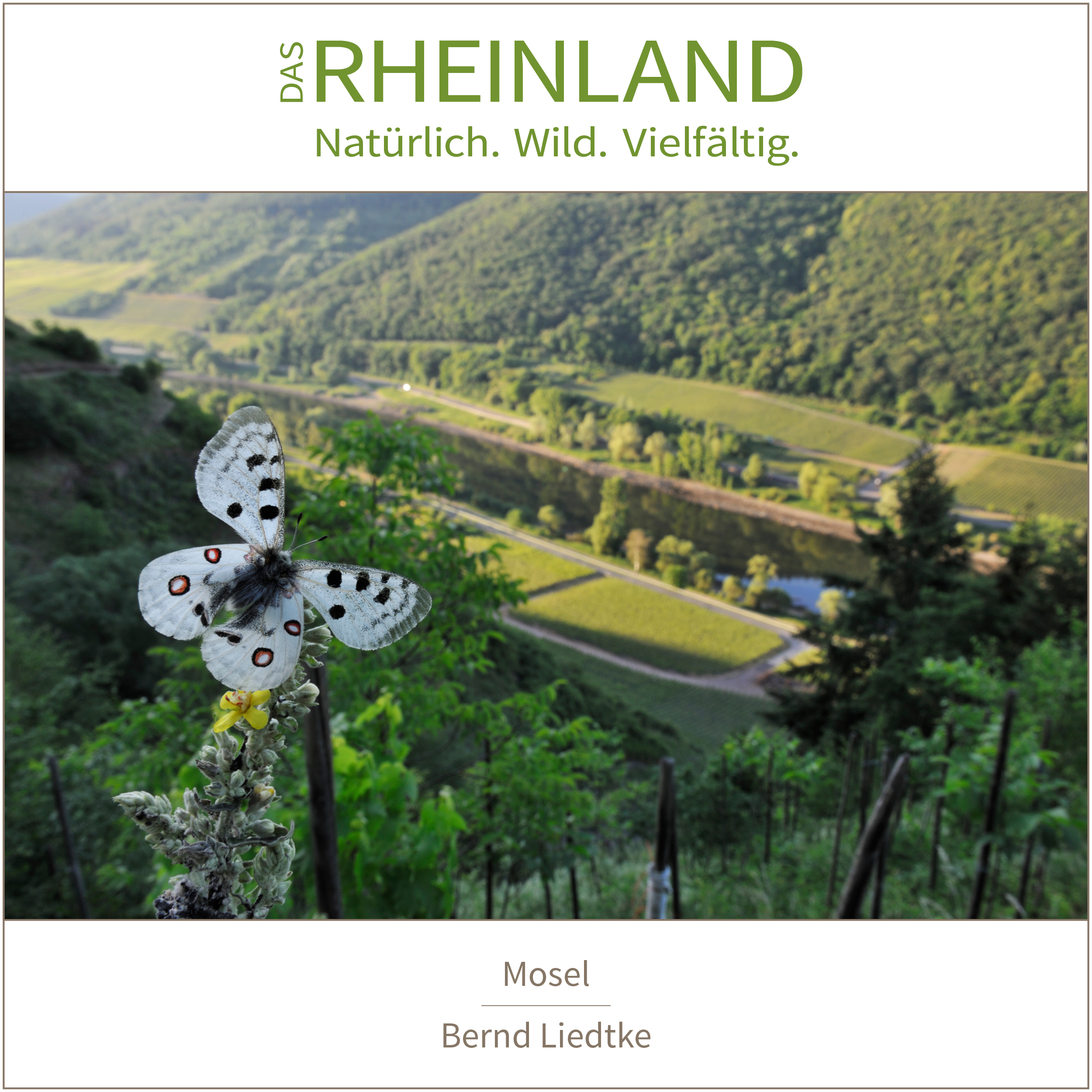 <b>Das Rheinland. <br />Natürlich. Wild. Vielfältig.</b><br />25 Naturfotograf:innen zeigen die Schätze ihrer Heimat 7 Mosel | Bernd Liedtke