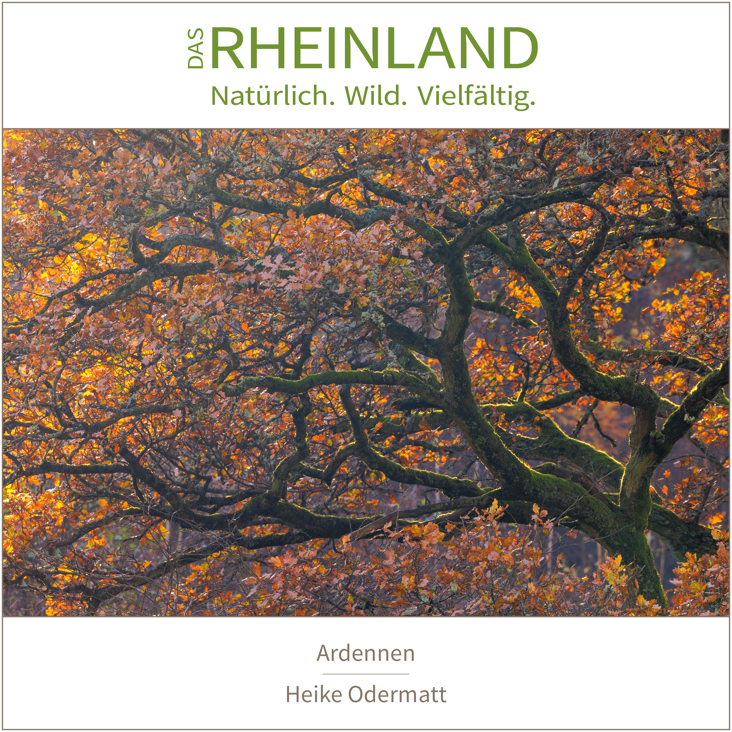 <b>Das Rheinland. <br />Natürlich. Wild. Vielfältig.</b><br />25 Naturfotograf:innen zeigen die Schätze ihrer Heimat 29 Ardennen | Heike Odermatt