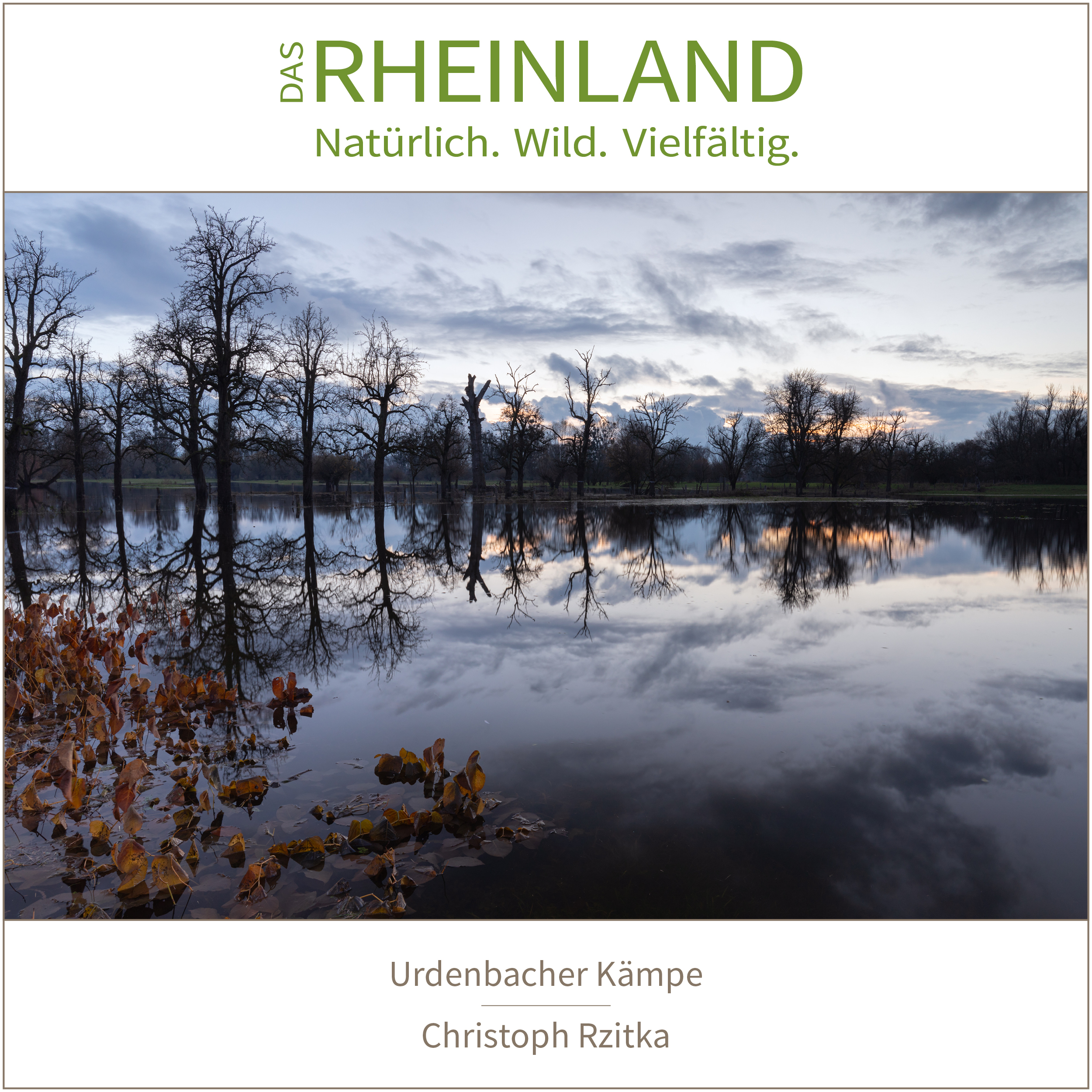 <b>Das Rheinland. <br />Natürlich. Wild. Vielfältig.</b><br />25 Naturfotograf:innen zeigen die Schätze ihrer Heimat 9 Urdenbacher Kämpe | Christoph Rzitka
