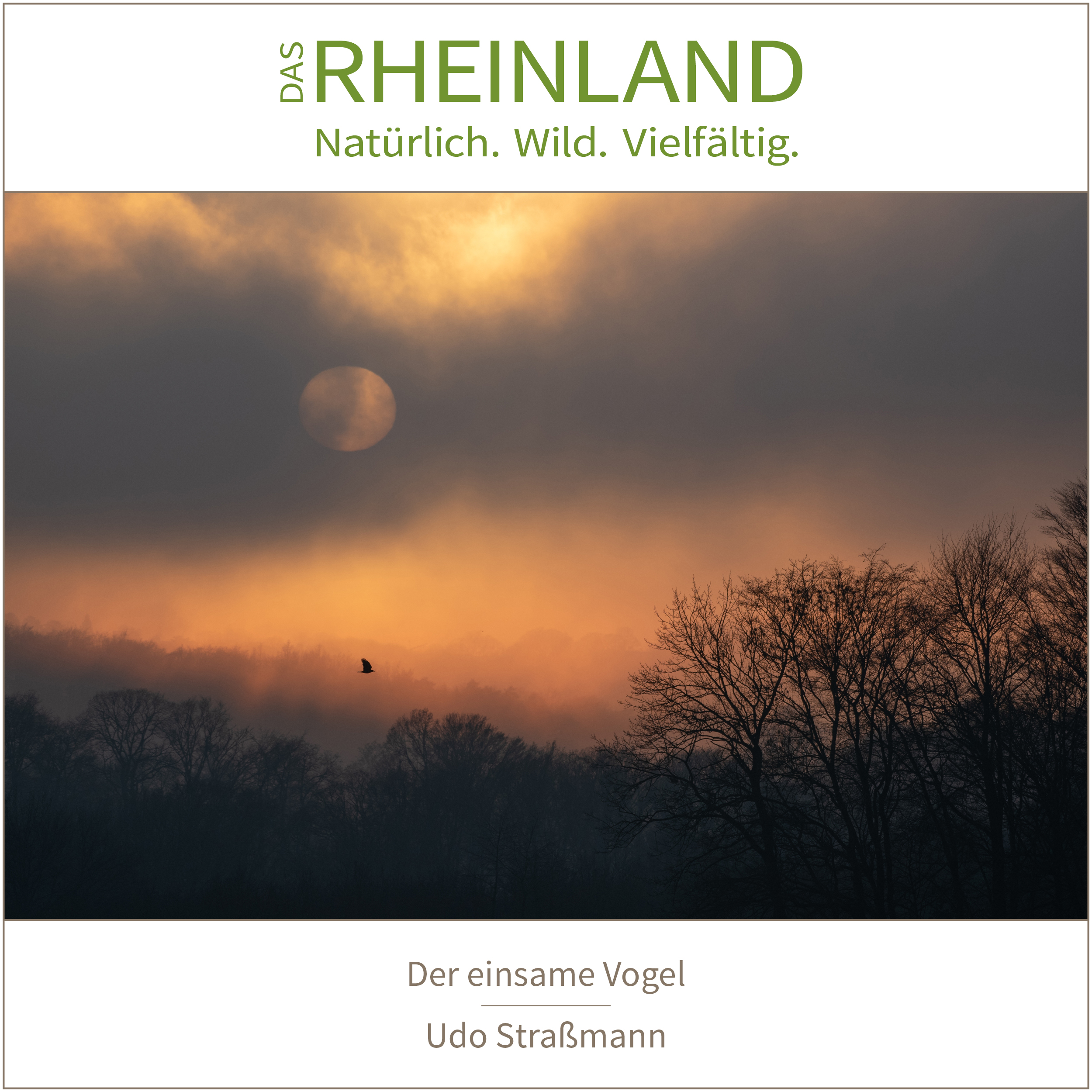 <b>Das Rheinland. <br />Natürlich. Wild. Vielfältig.</b><br />25 Naturfotograf:innen zeigen die Schätze ihrer Heimat 13 Der einsame Vogel | Udo Straßmann