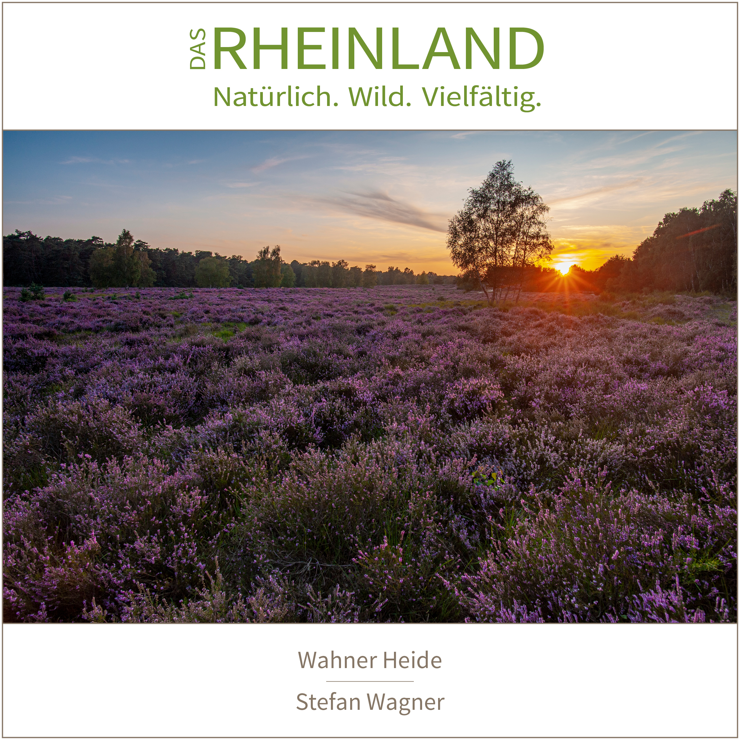 <b>Das Rheinland. <br />Natürlich. Wild. Vielfältig.</b><br />25 Naturfotograf:innen zeigen die Schätze ihrer Heimat 11 Wahner Heide | Stefan Wagner